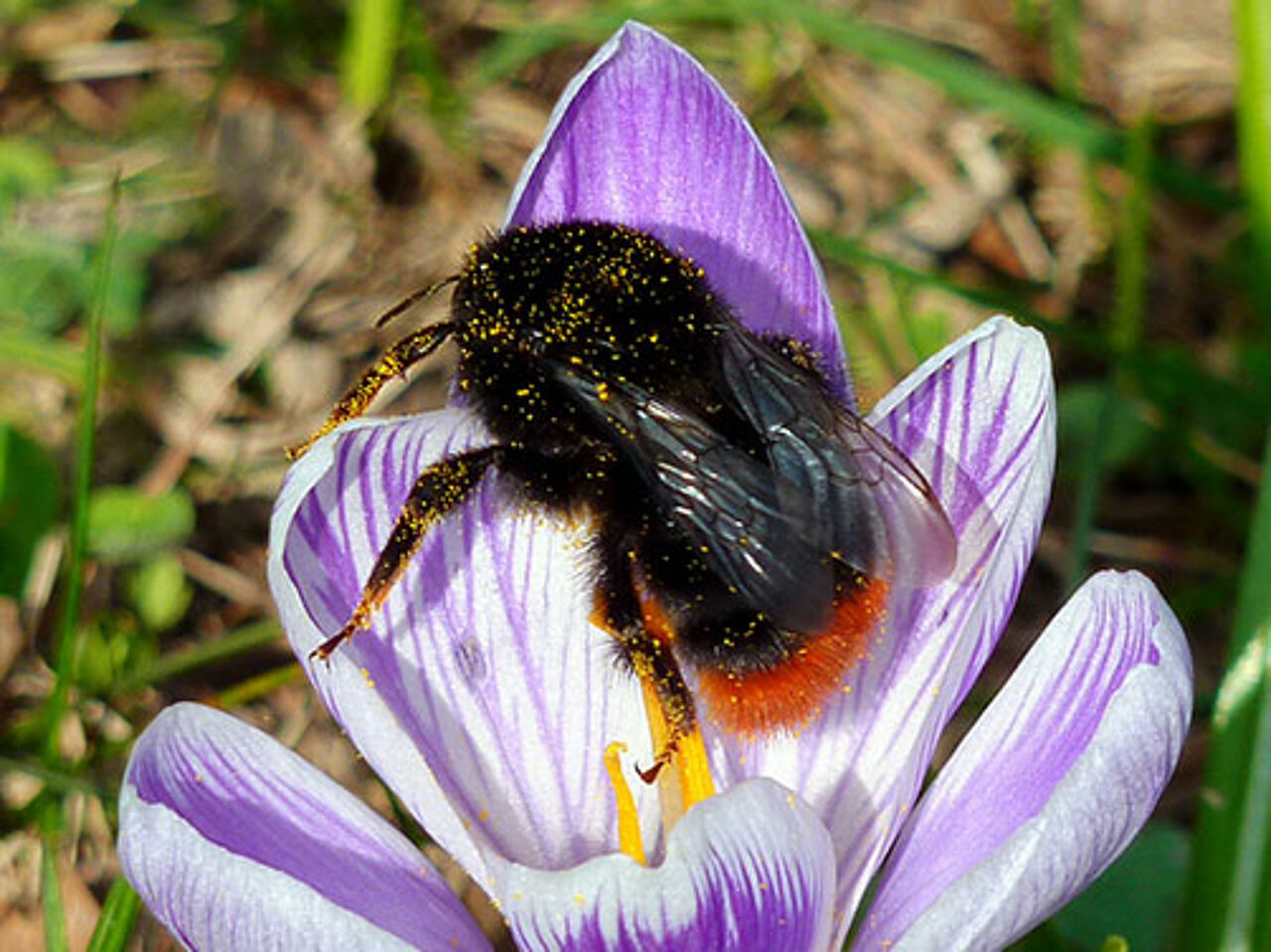 Foto: Pixabay/moritz320